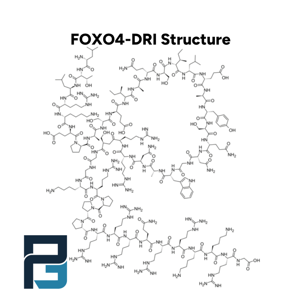FOXO4-DRI: 10MG - PGL