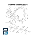 FOXO4-DRI: 10MG - PGL