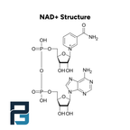 NAD+ 500MG - PGL