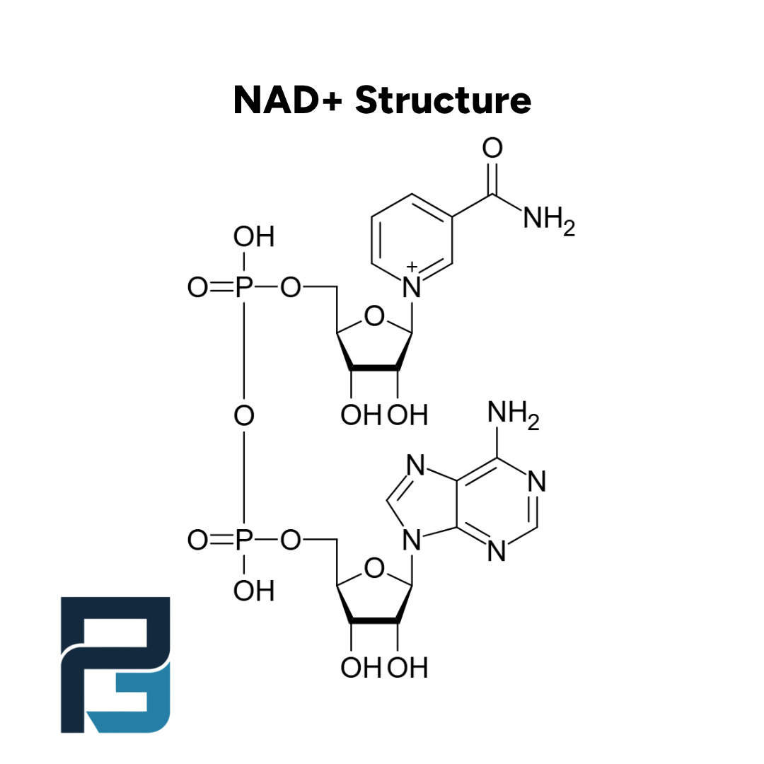 NAD+ 500MG - PGL
