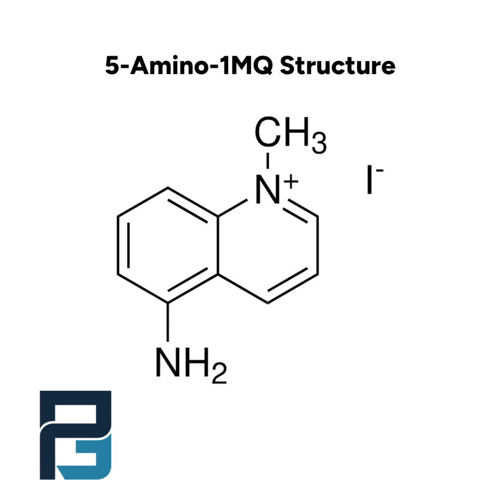 5-Amino-1MQ: 50mg - PGL